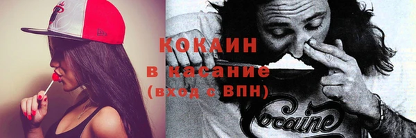 дурь Тайга