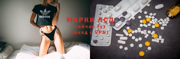 дурь Тайга