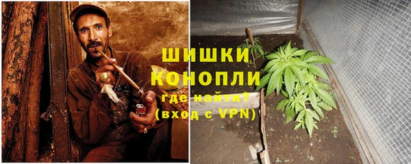 дурь Тайга